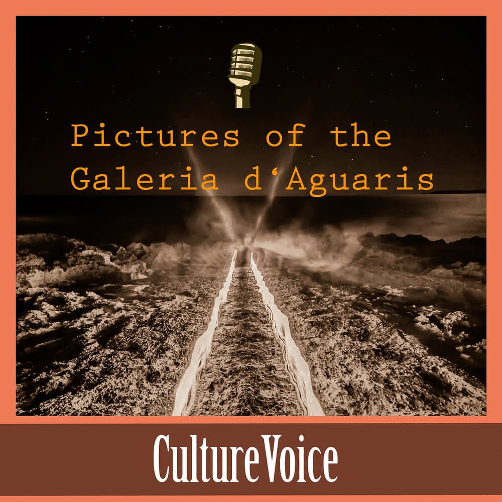 Culturevoice