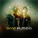 Dvine Brothers