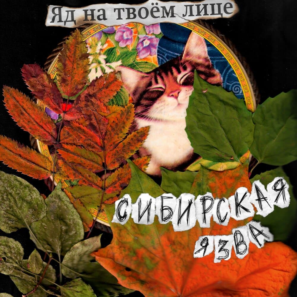 Сибирская Язва