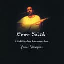 Emre Saltık