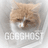 GGGGHOST