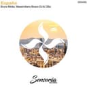 Massimiliano Bosco DJ