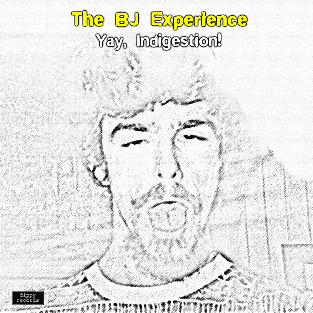 The BJ Experience