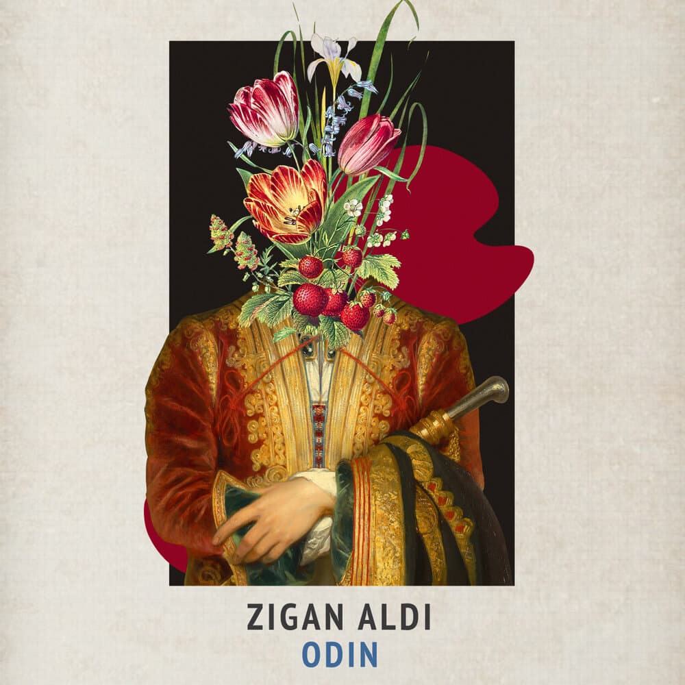 Zigan Aldi