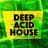 Acid house