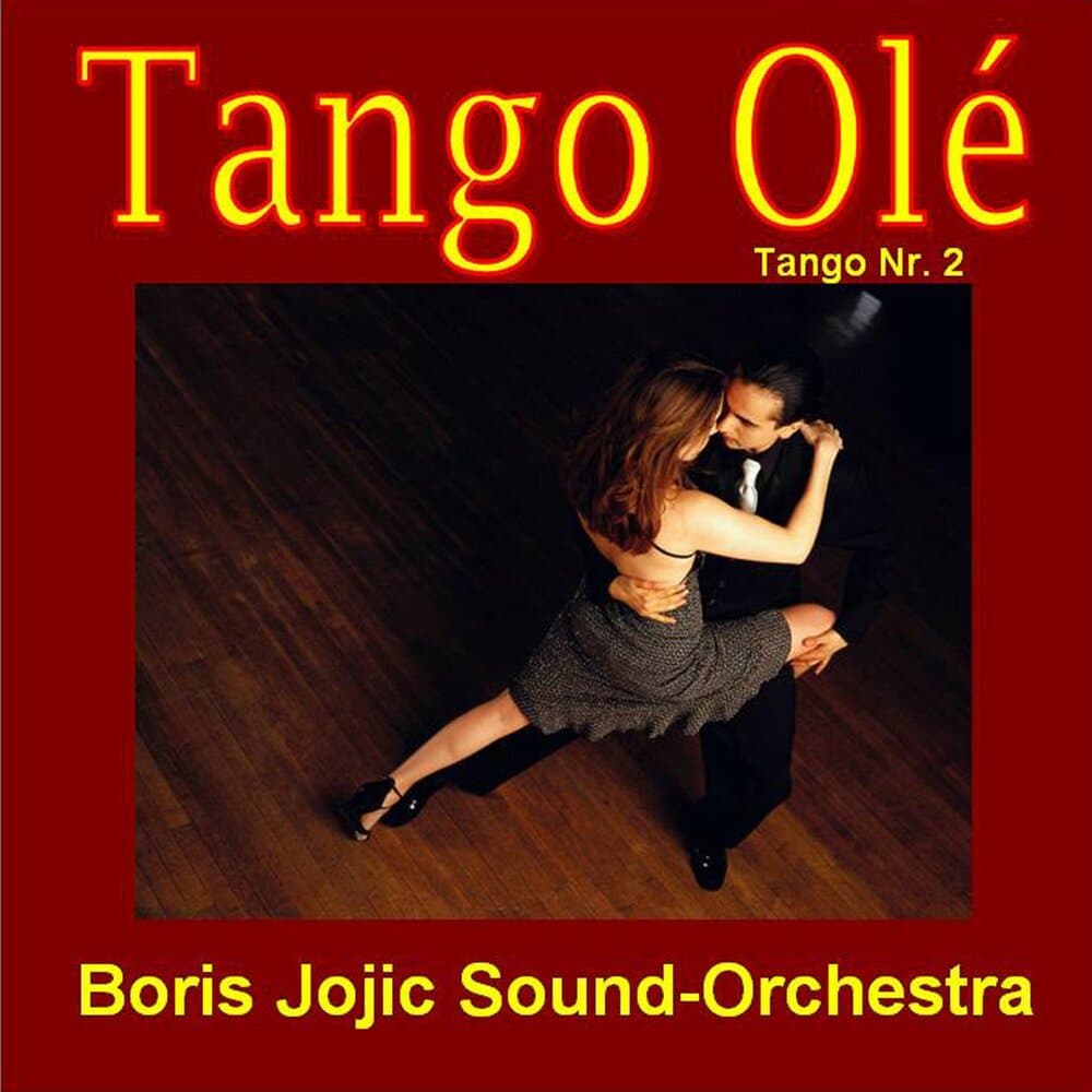 Boris Jojic Sound Orchestra