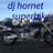 Dj Hornet