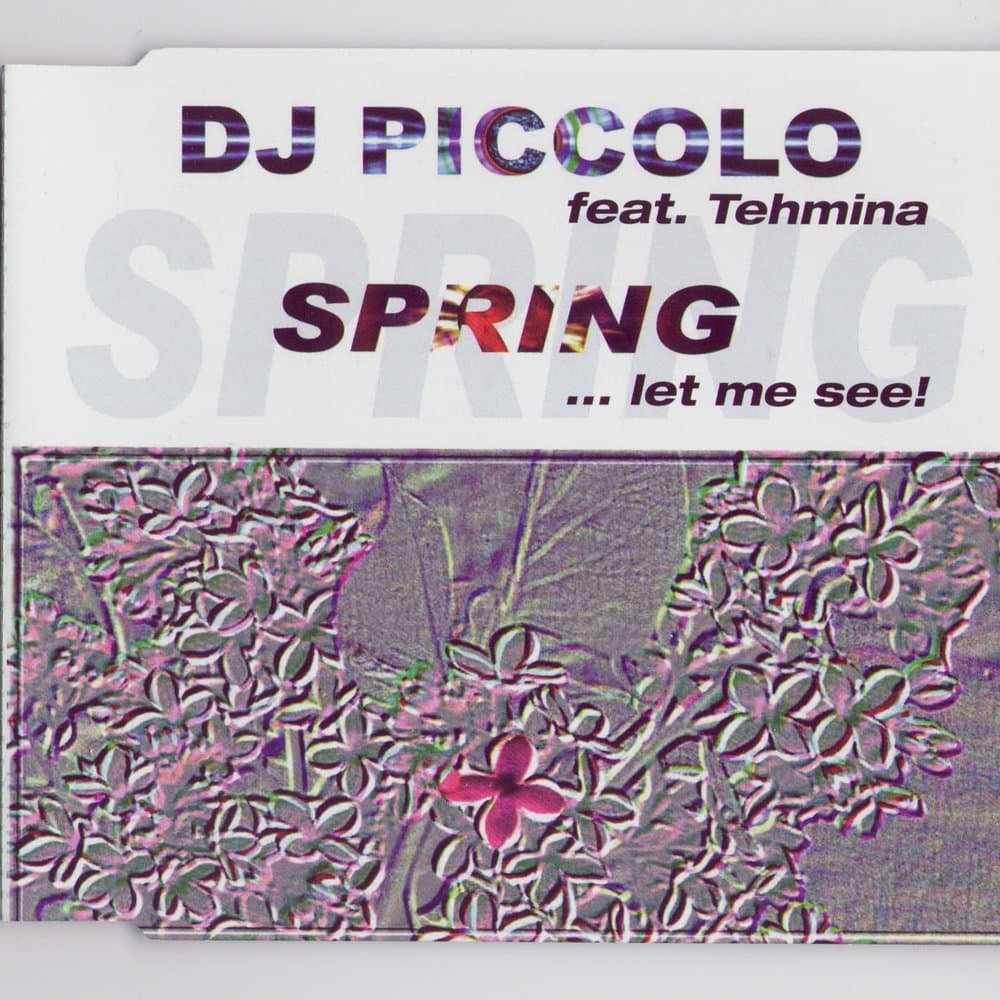 DJ Piccolo feat. Tehmina