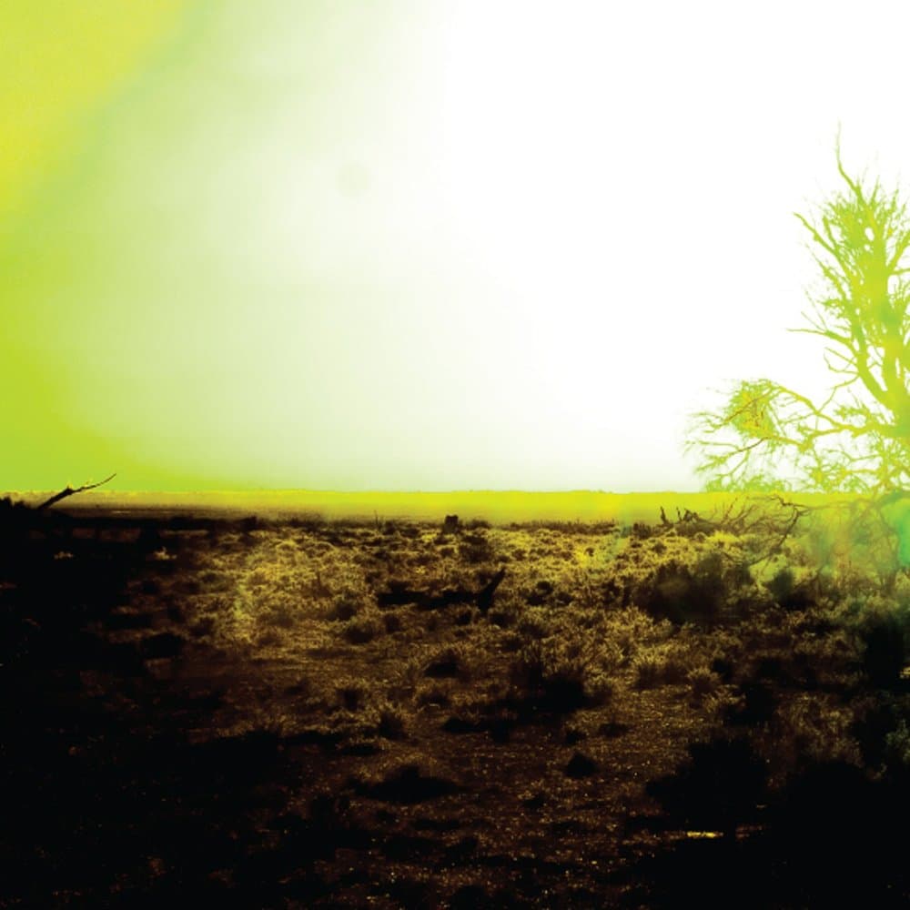 Strings Of Consciousness & Angel