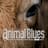 Animal Blues