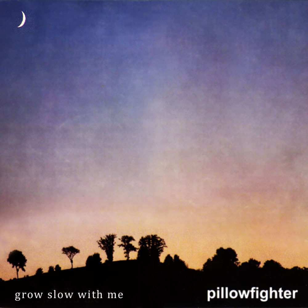 Pillowfighter