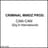Criminal Mindz Prod