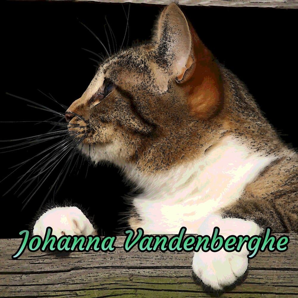Johanna Vandenberghe