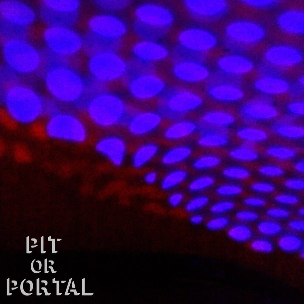 Pit or Portal