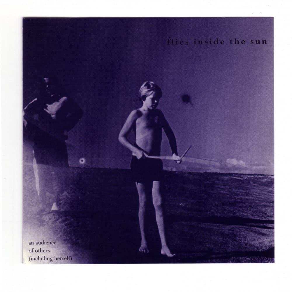 Flies Inside The Sun