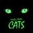 Cats The Musical