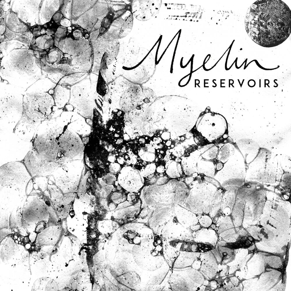 Myelin