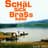 Schäl Sick Brass Band
