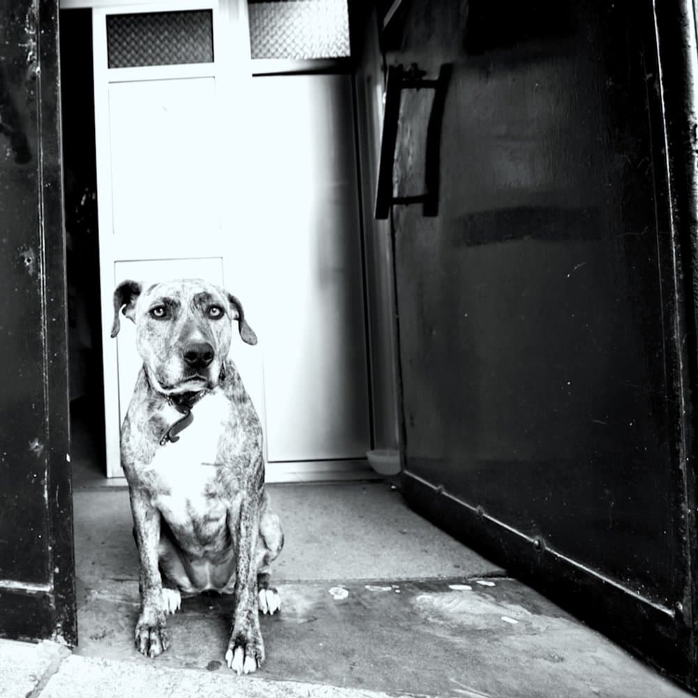 How Comes the Constellations Shine