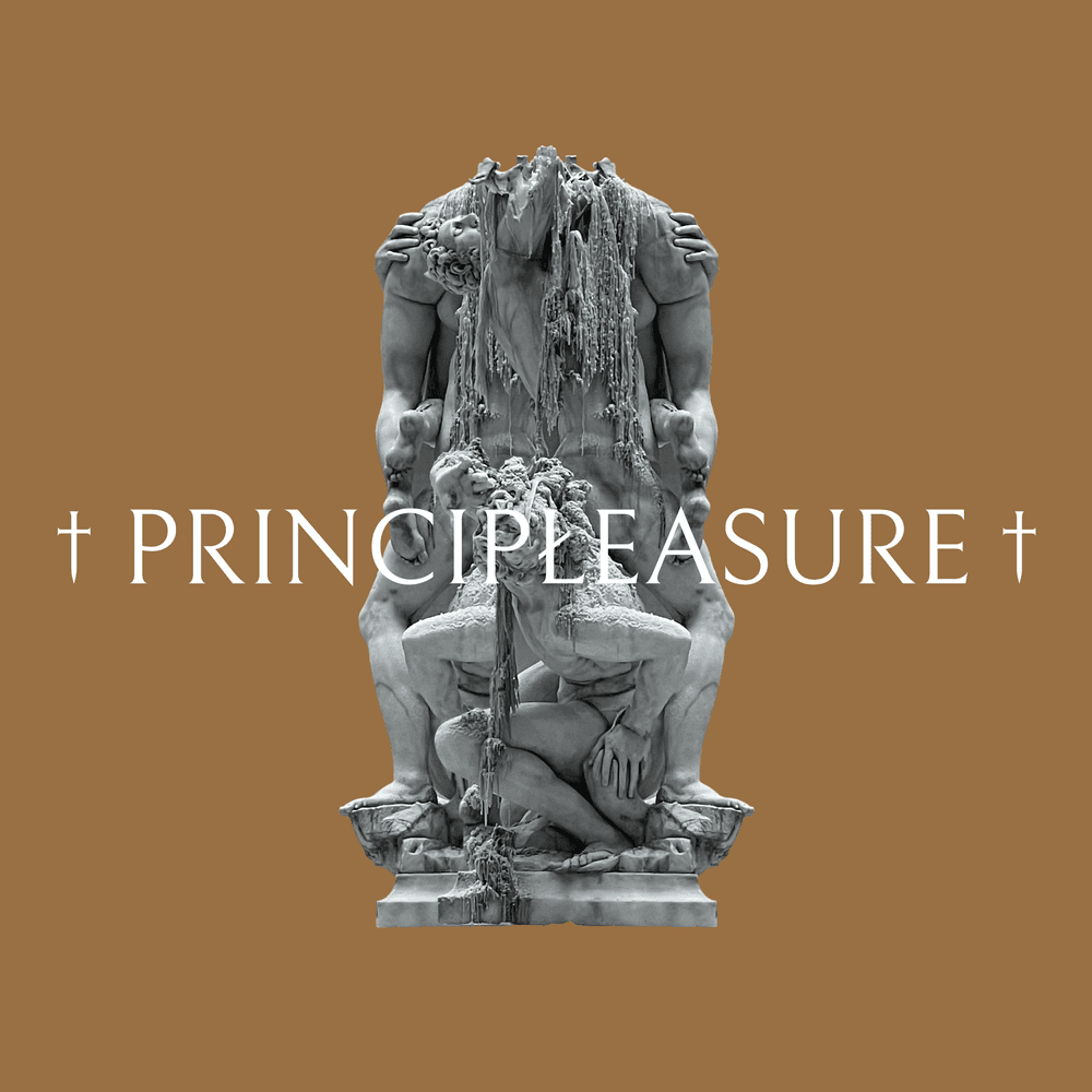 Principleasure