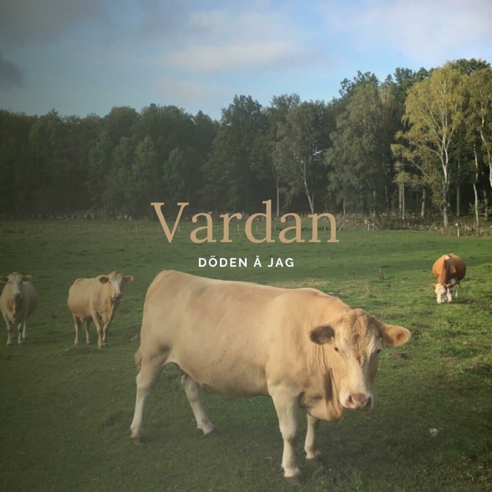Vardan