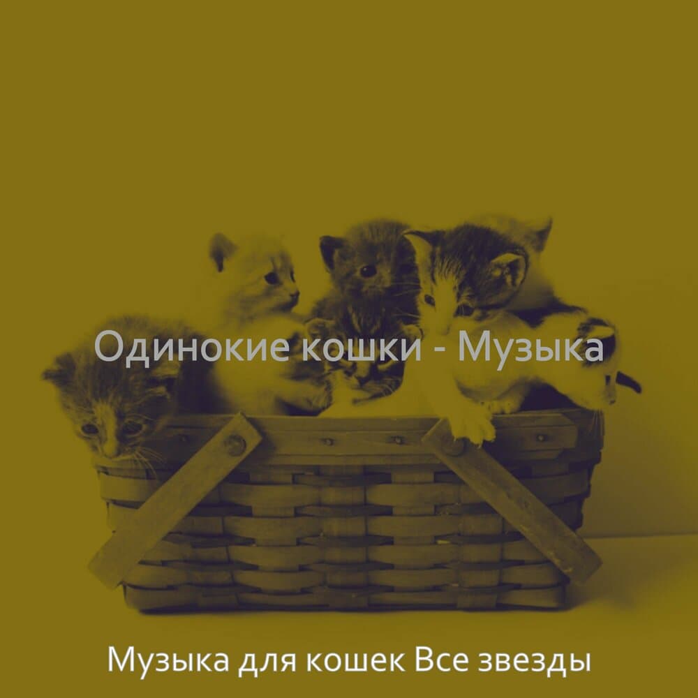 Музыка для кошек Все звезды
