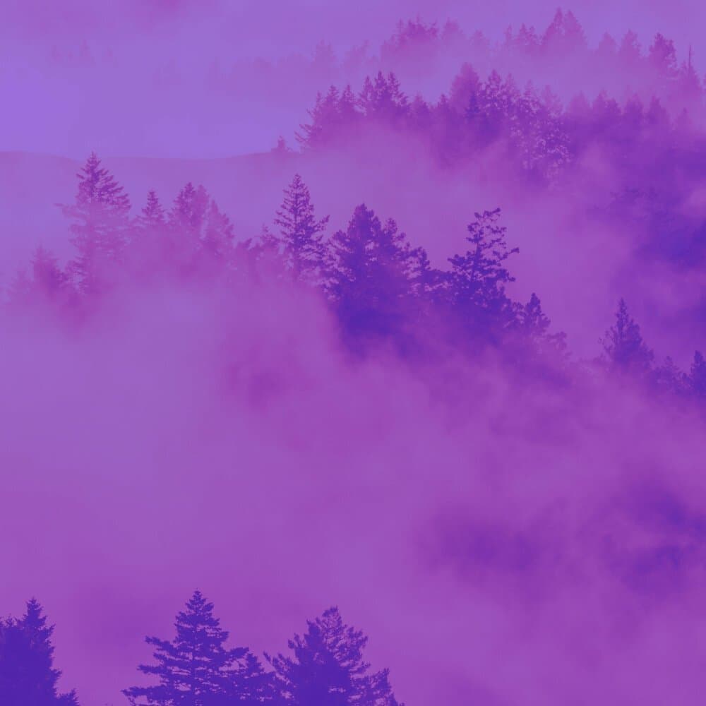 выдающийся Арфа Музыка