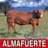 Almafuerte