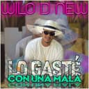 Wilo D' New