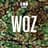 Woz