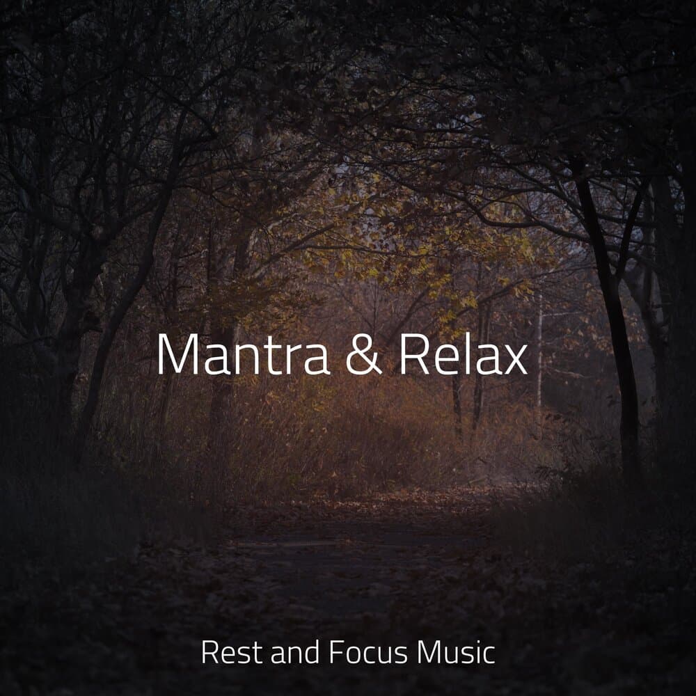 Meditative Music Guru