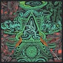 Old Growth SoulJourner