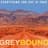 Greybound