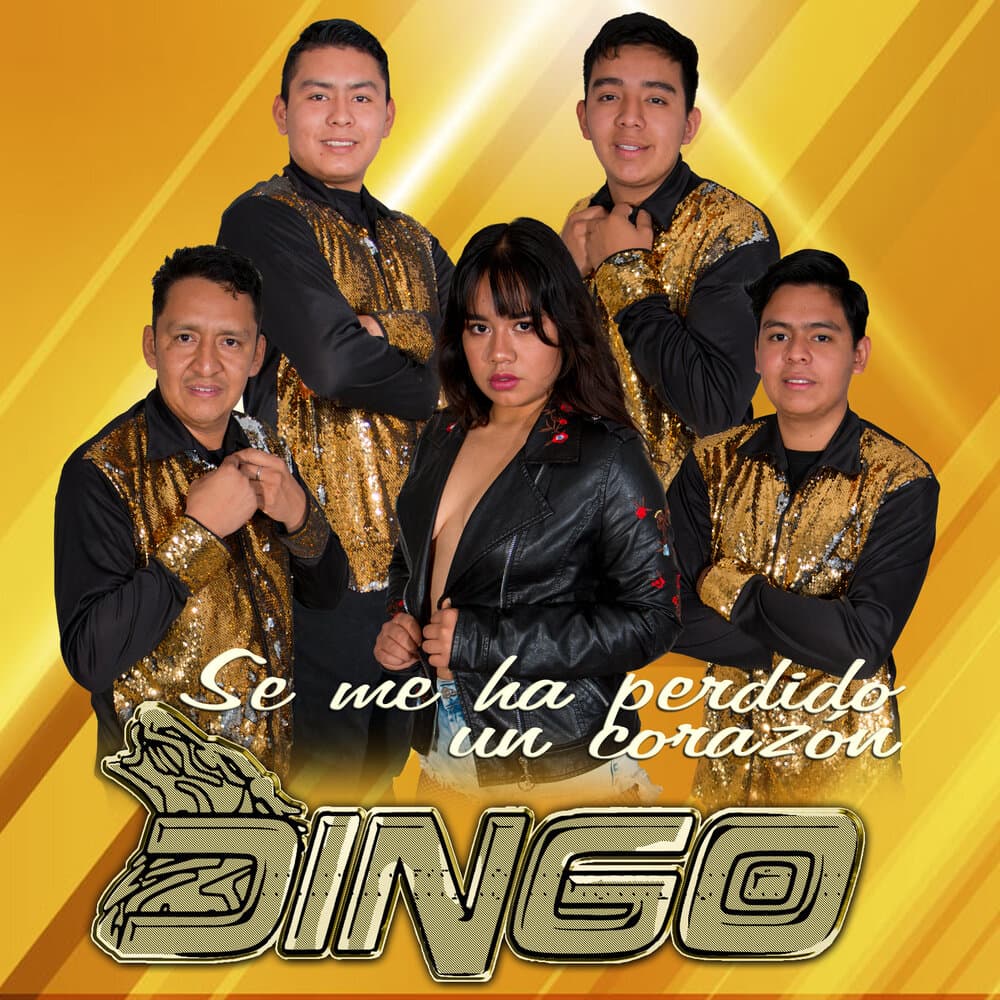 Grupo Dingo