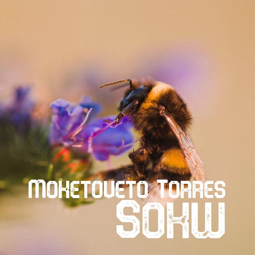 Moketoveto Torres