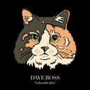 Dave Ross
