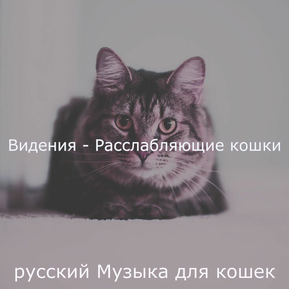 русский Музыка для кошек