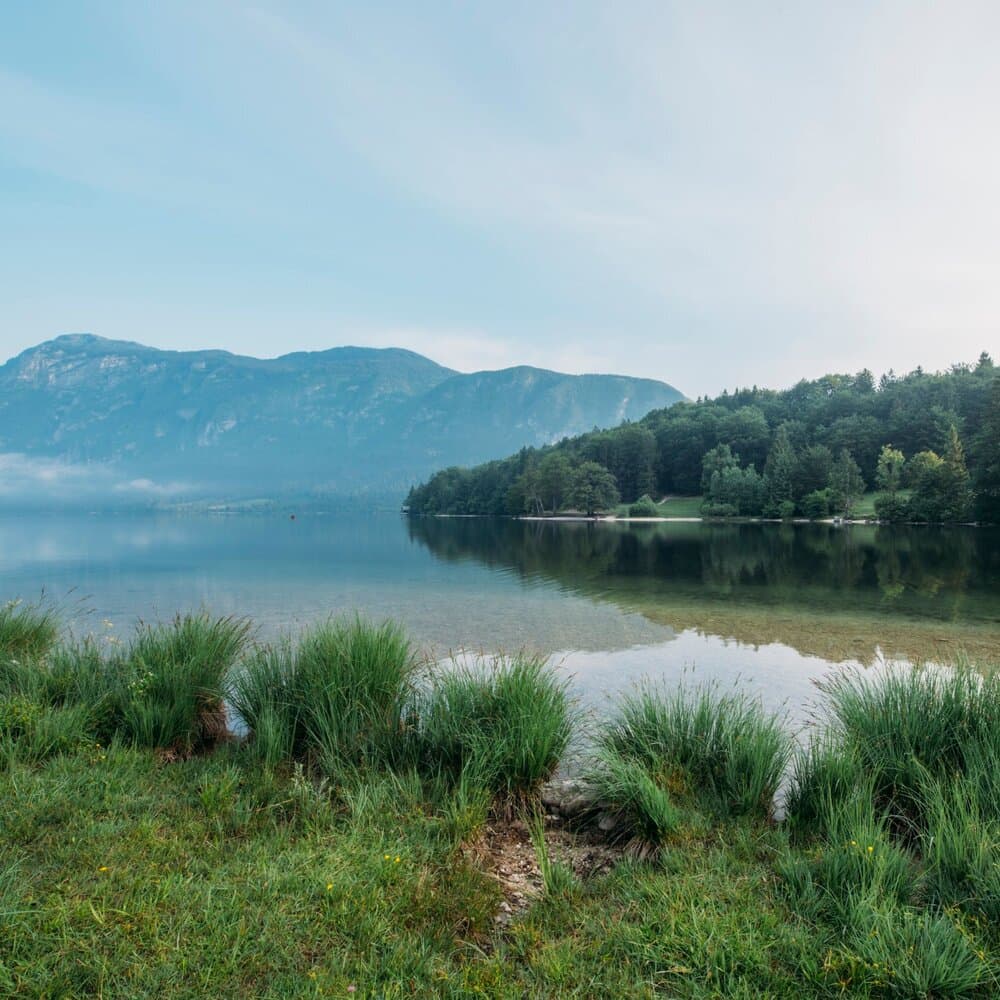 mindfulness meditation world