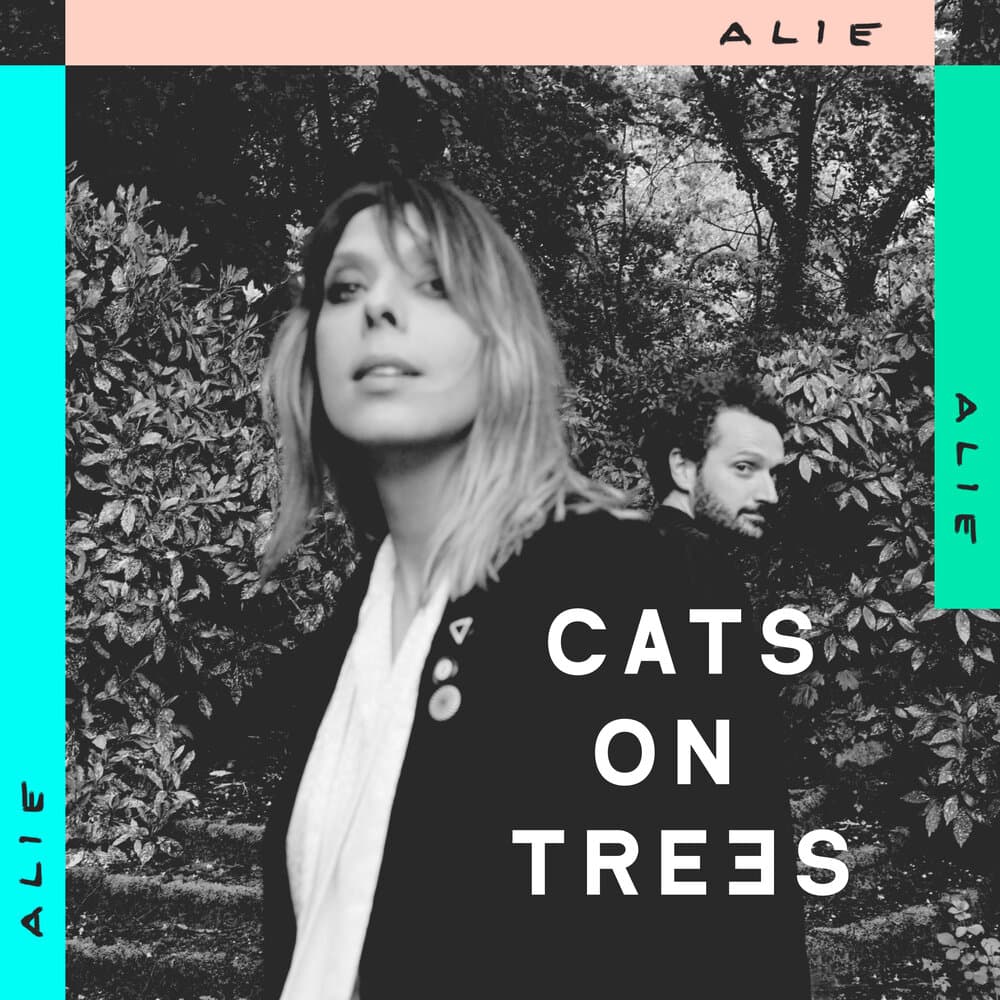 Cats On Trees