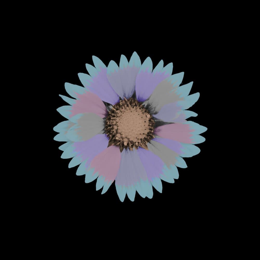 Love Ecstasy and Terror