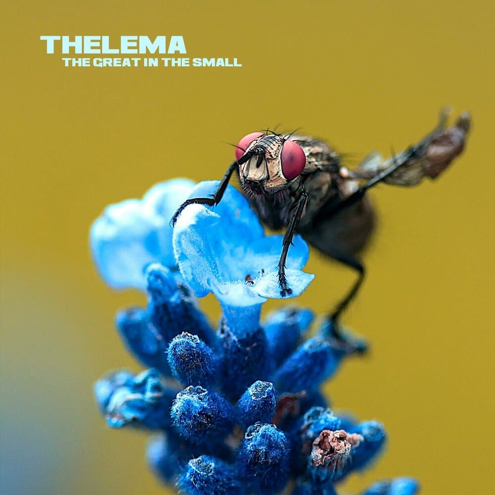 Thelema