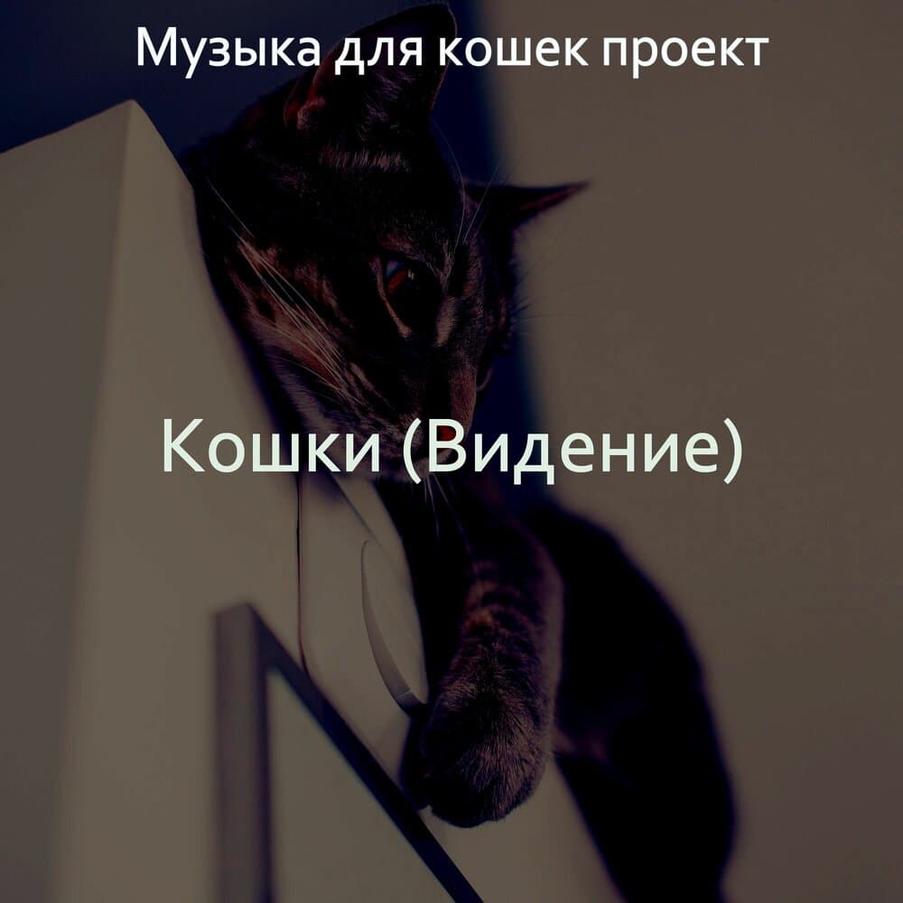 Музыка для кошек проект