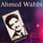 Ahmed Wahbi