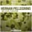 Hernan Pellegrino