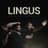 Lingus