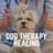 Dog Music Therapy