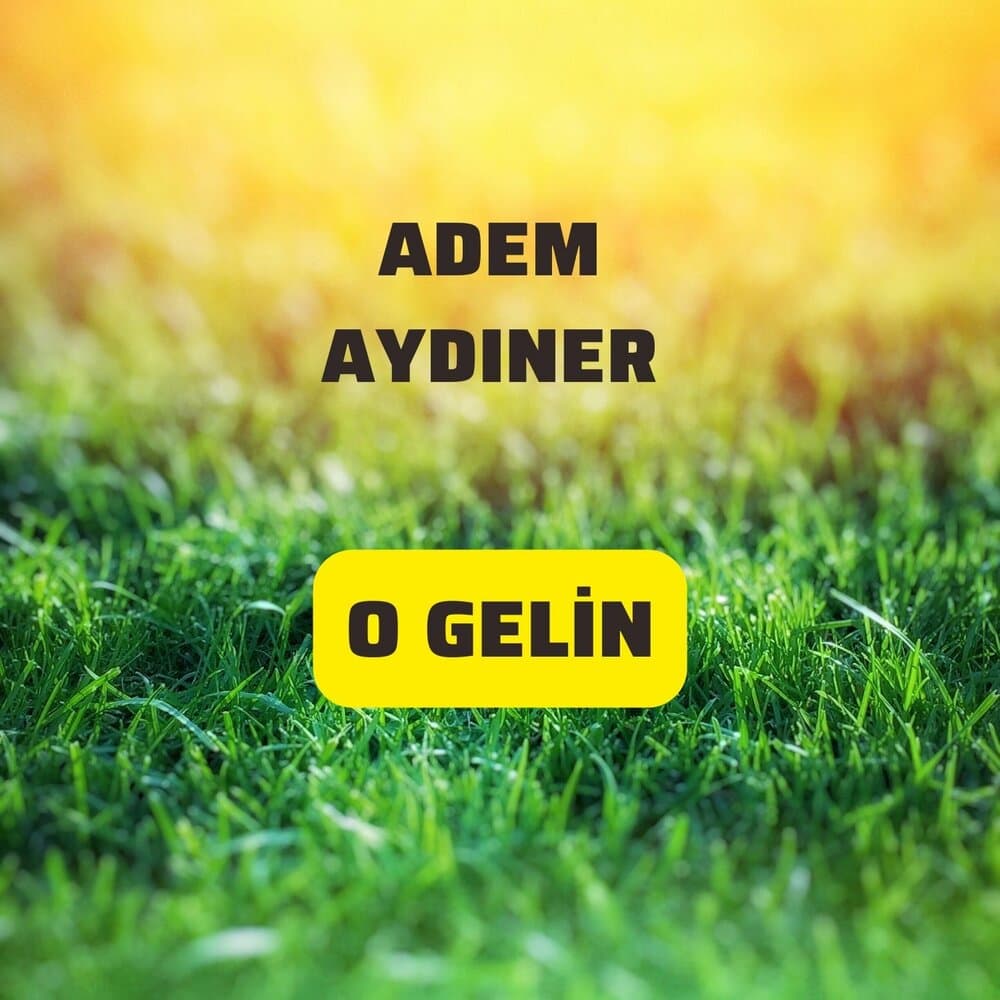 Adem Aydıner