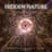 Hidden Nature