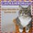 Cat Music Zone