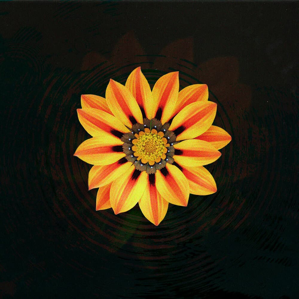 Сильное Чувство